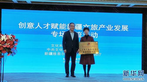 千帆競發 創意人才賦能新疆文旅產業發展專場交流活動在烏魯木齊舉辦